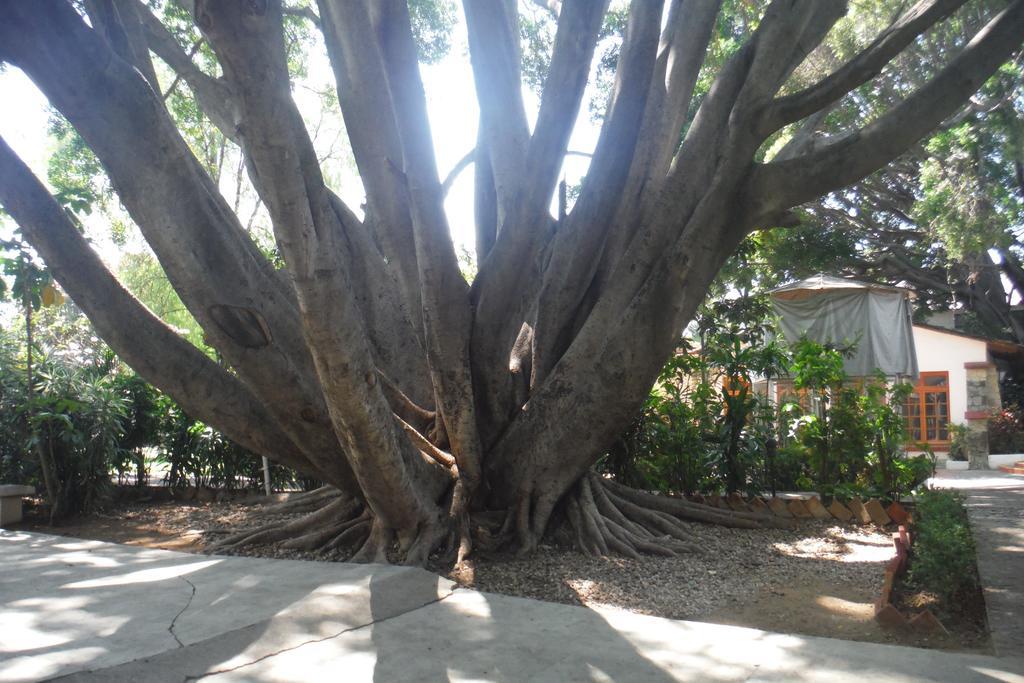 Mision De Los Angeles Oaxaca Exteriér fotografie