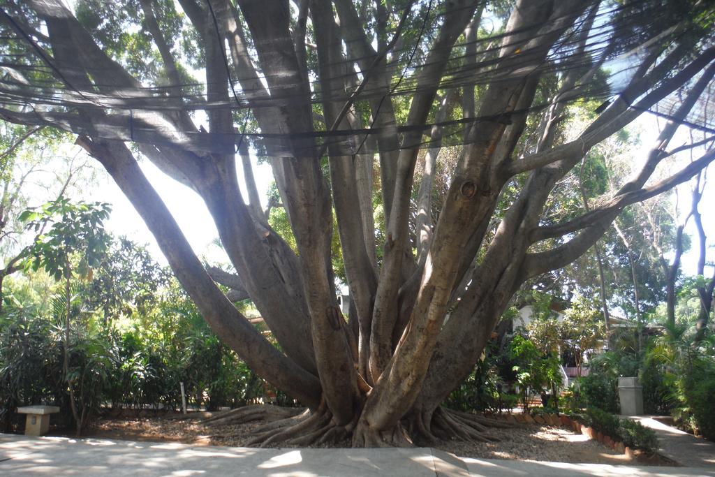 Mision De Los Angeles Oaxaca Exteriér fotografie